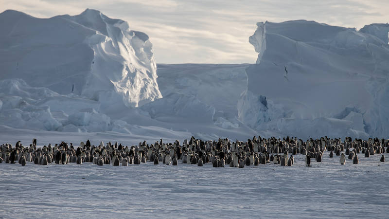 Antarctica Project ANT-Land 2011/12 #2
