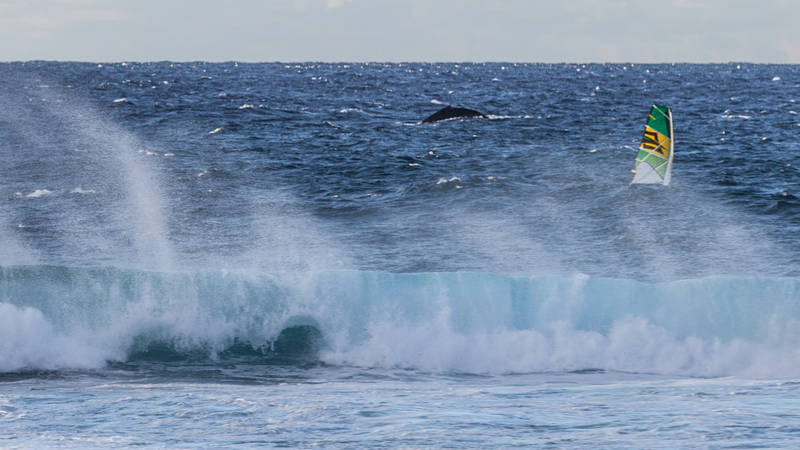 Maui