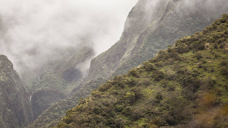 Maui