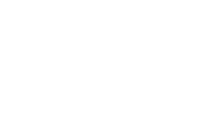 GSM GROUP