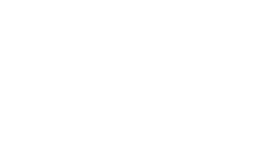 GSM GROUP
