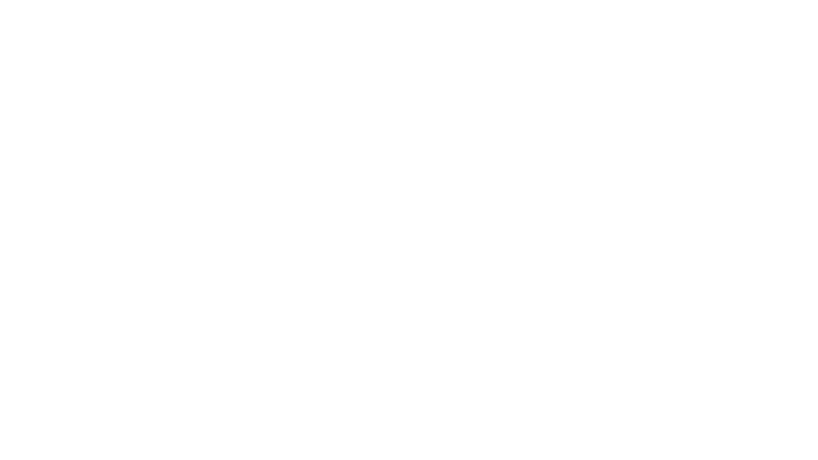 HAMBURG SÜD GROUP