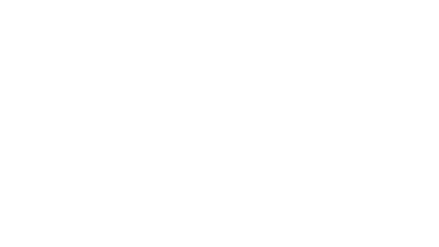 Jungheinrich AG