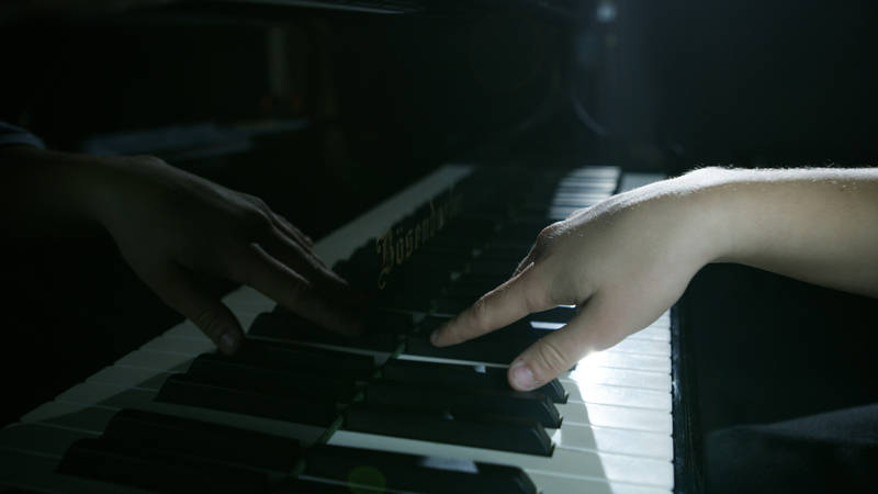 Annual Fund Raising Campaign - Musik