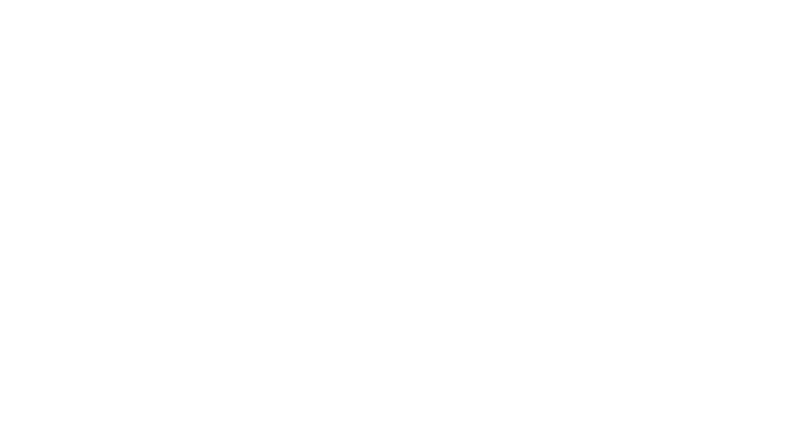 Spiegel TV